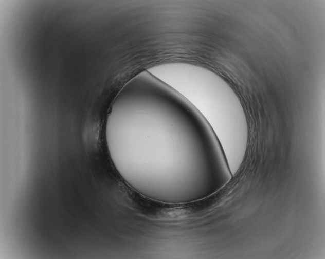 X0000096180219200801180857