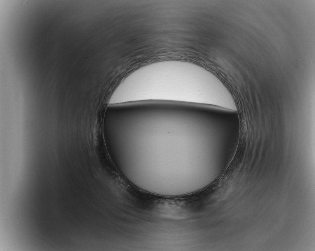 X0000096180223200801180857