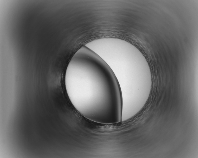 X0000096180225200801180857