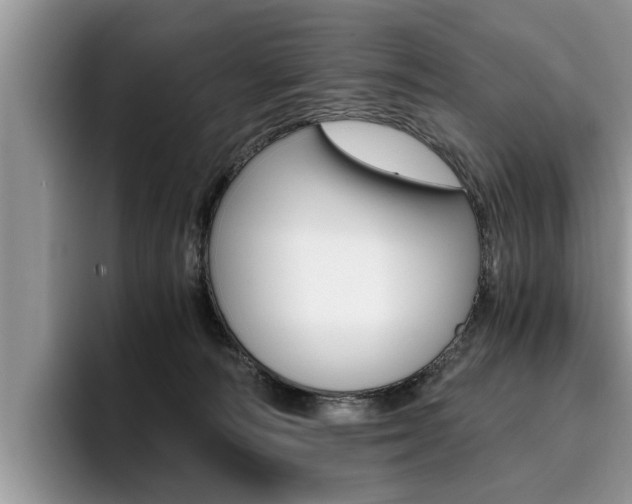 X0000096180226200801180857