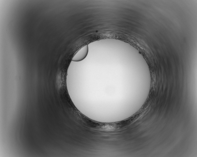 X0000096180236200801180857