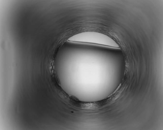 X0000096180237200801180857