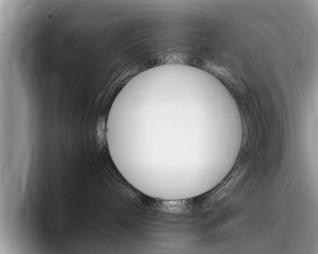 X0000096180240200801180856