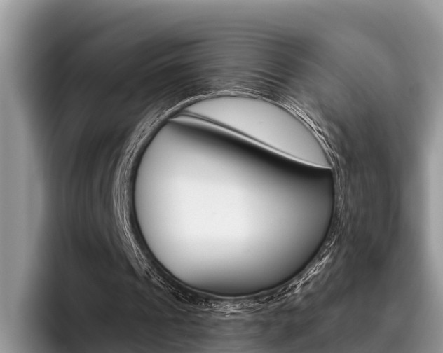 X0000096180241200801180856