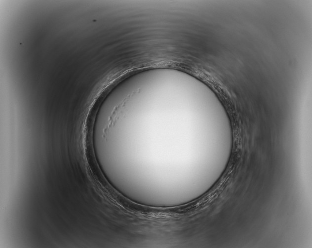 X0000096180242200801180856