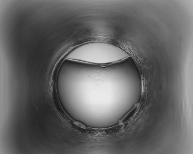 X0000096180243200801180856