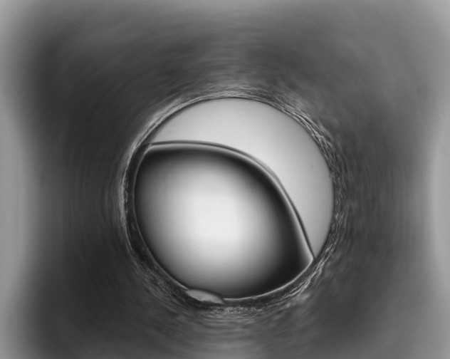 X0000096180244200801180856