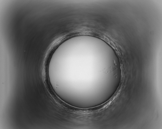 X0000096180245200801180856