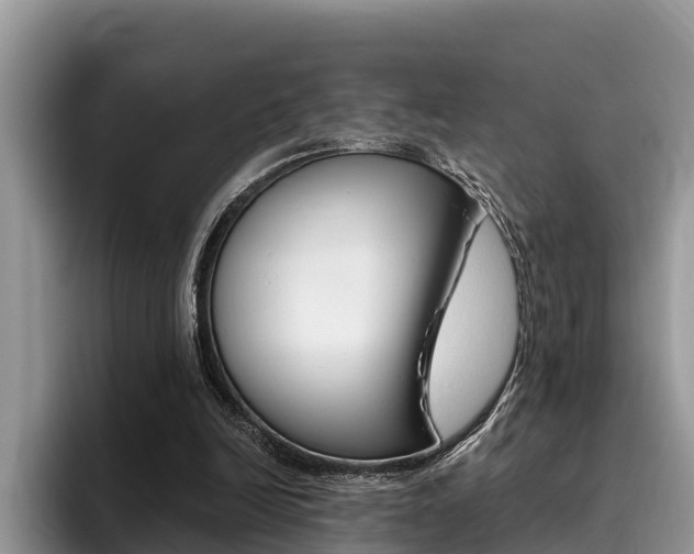 X0000096180246200801180856