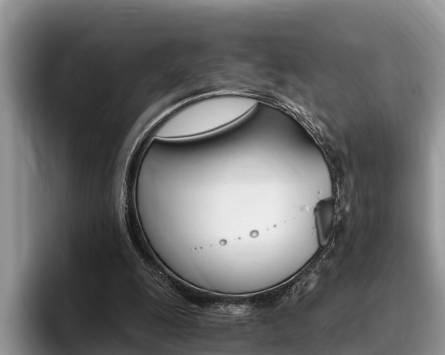 X0000096180247200801180856
