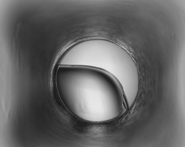 X0000096180248200801180856