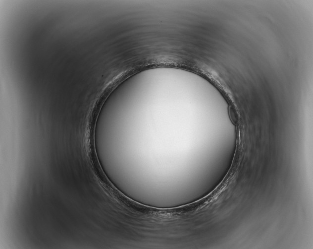 X0000096180249200801180856