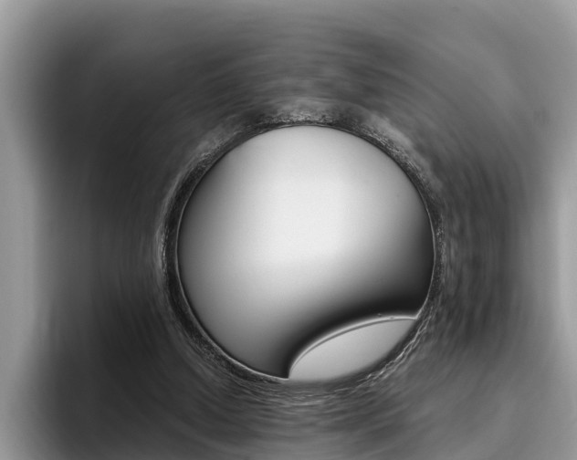X0000096180250200801180856