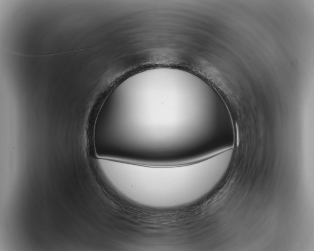 X0000096180252200801180856