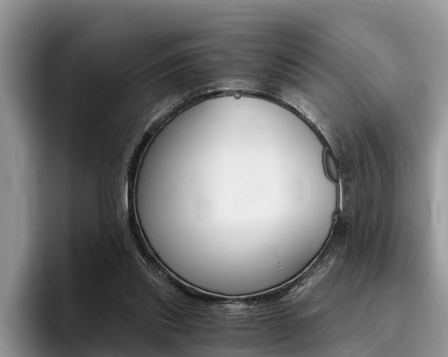 X0000096180253200801180856