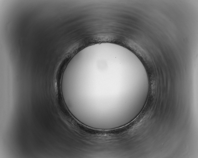 X0000096180254200801180856