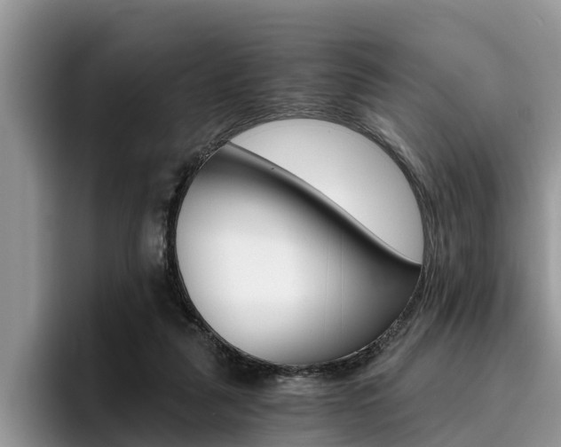 X0000096180259200801180856