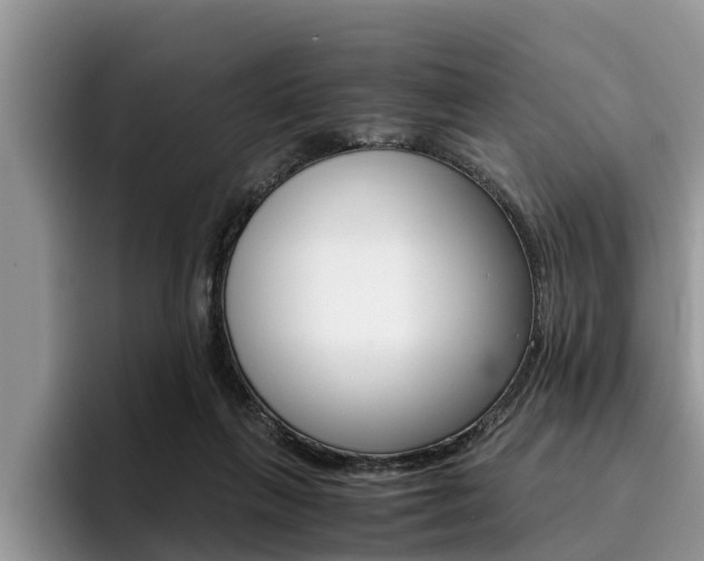 X0000096180263200801180856