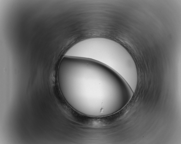 X0000096180264200801180856