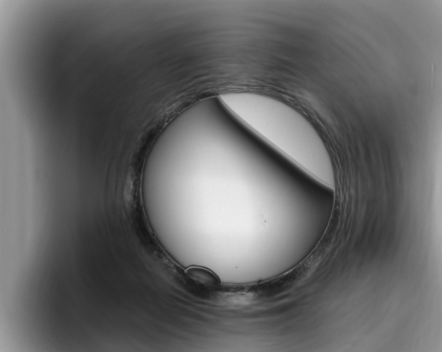 X0000096180266200801180856