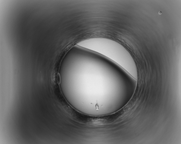 X0000096180268200801180856