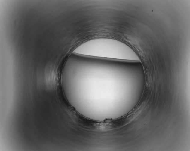 X0000096180273200801180856
