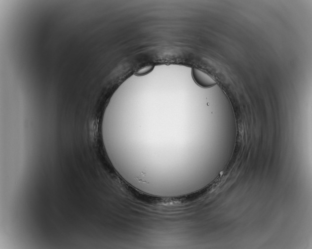X0000096180278200801180856