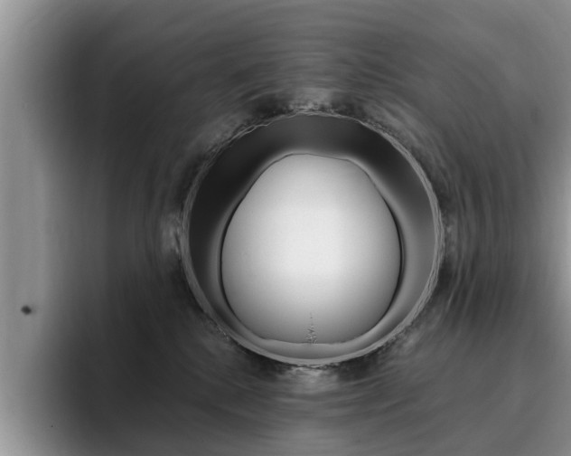 X0000096180280200801180856