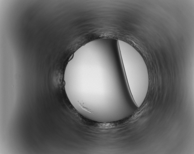 X0000096180281200801180856