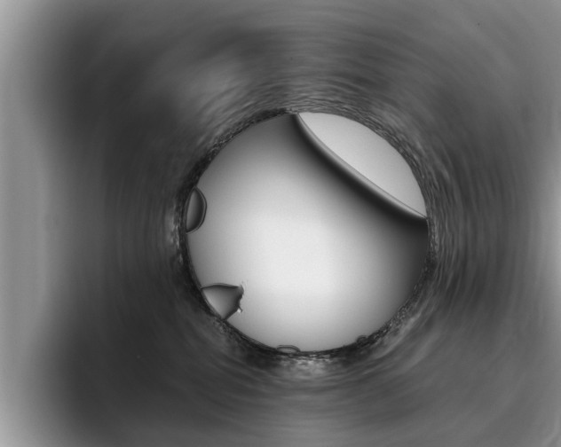 X0000096180282200801180856