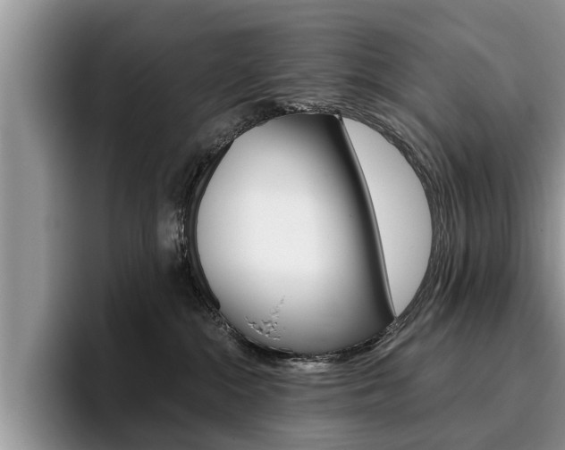 X0000096180284200801180856