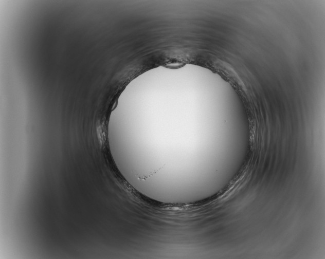 X0000096180285200801180856