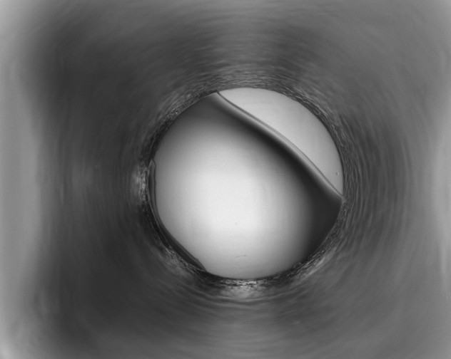 X0000096180288200801180856