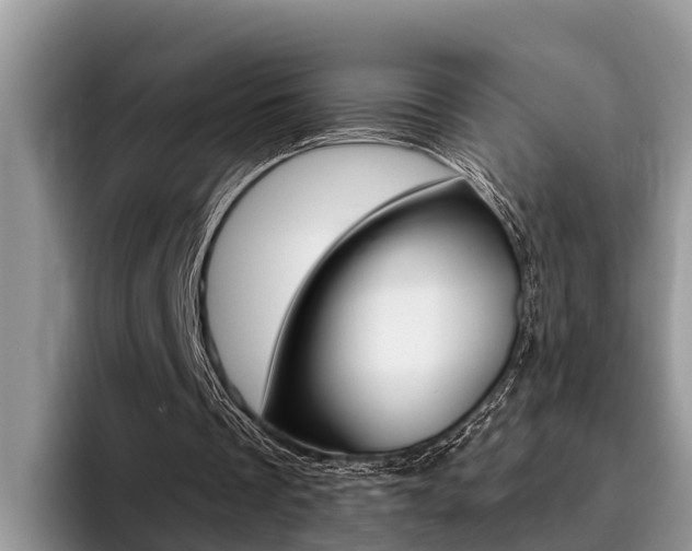 X0000096180289200801180856