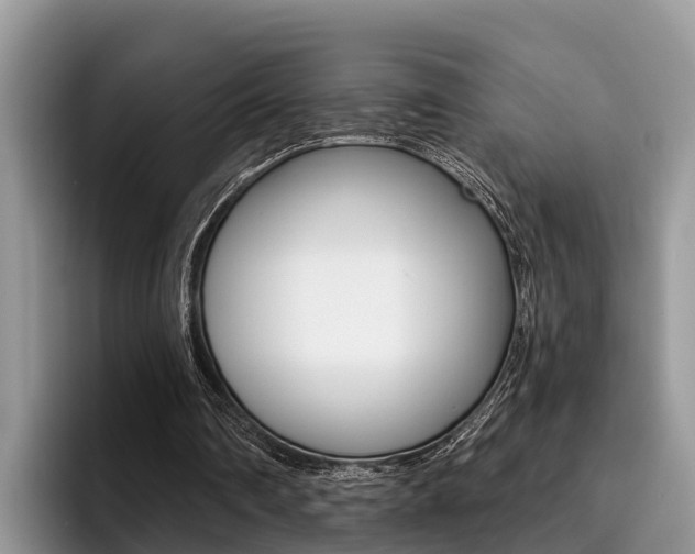 X0000096180290200801180856