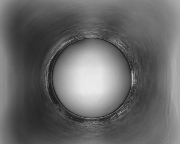 X0000096180291200801180856