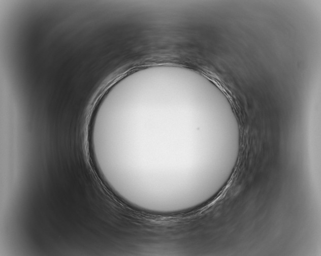 X0000096180293200801180856
