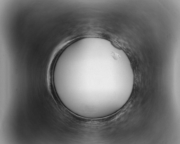 X0000096180294200801180856