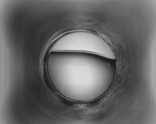X0000096180295200801180856