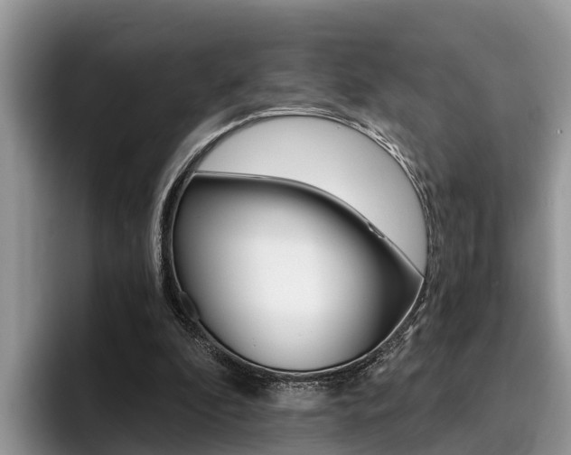 X0000096180296200801180856