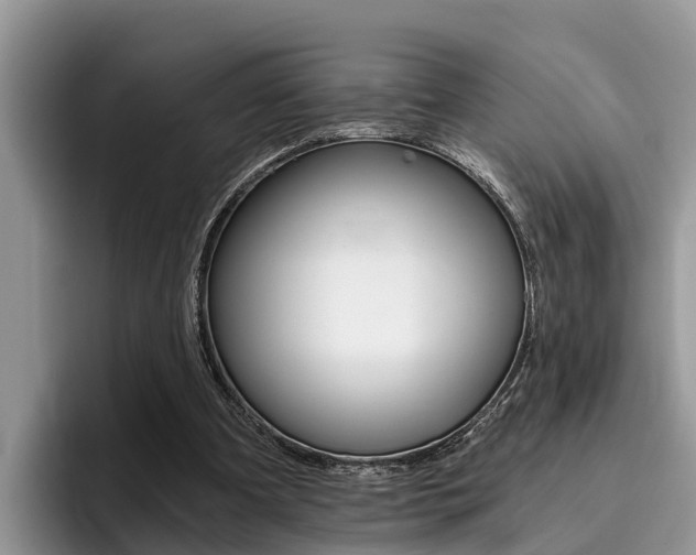 X0000096180297200801180856