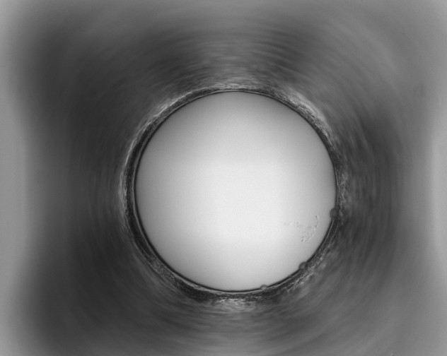 X0000096180298200801180856