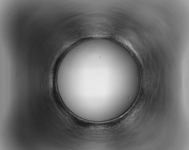 X0000096180299200801180856