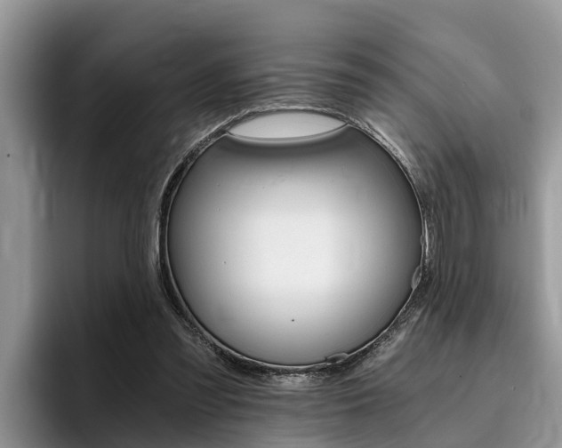 X0000096180301200801180856