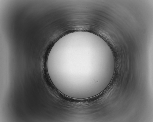 X0000096180303200801180856