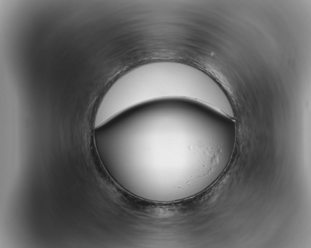 X0000096180305200801180856
