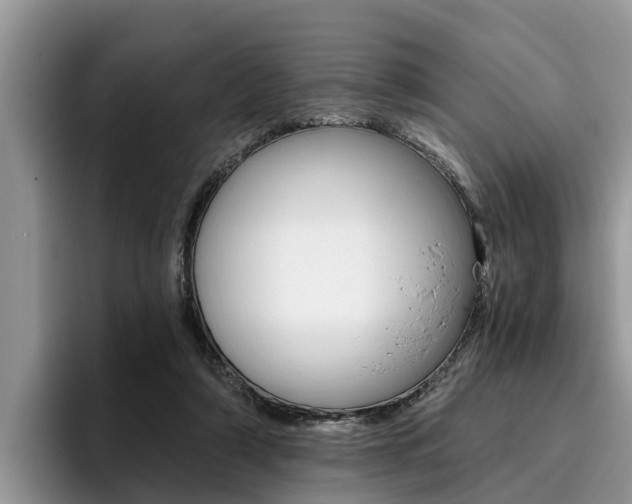 X0000096180306200801180856