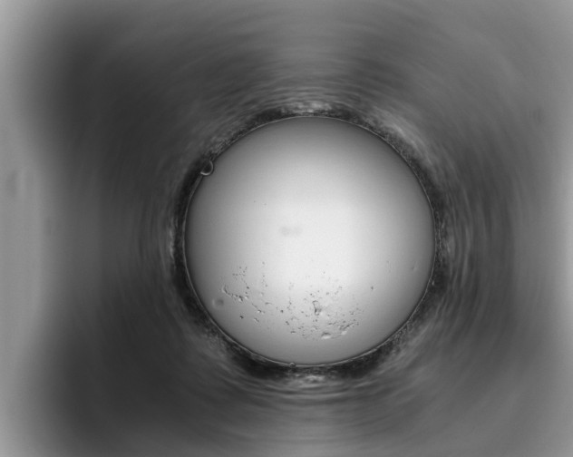 X0000096180315200801180856