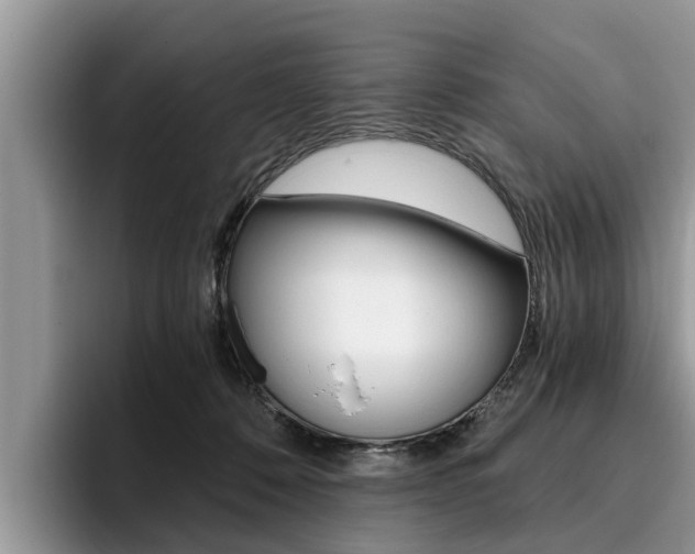 X0000096180320200801180855