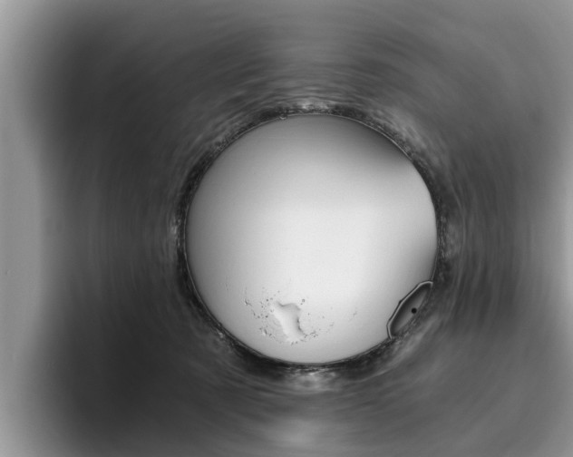 X0000096180321200801180855